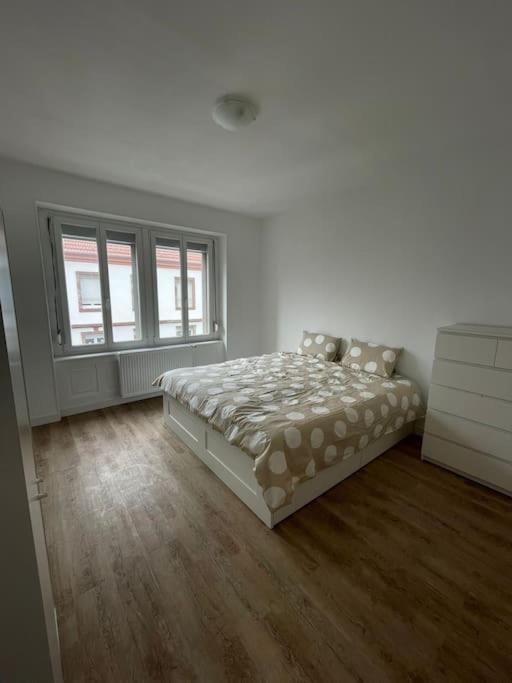 Mulhouse, Urban Family Nest Appartement Buitenkant foto